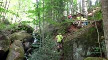  Blick auf die Wanderstrecke in der Ysperklamm 