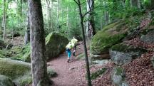  Blick auf die Wanderstrecke in der Ysperklamm 