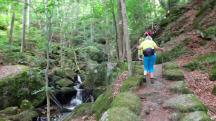  Blick auf die Wanderstrecke in der Ysperklamm 