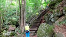 Blick auf die Wanderstrecke in der Ysperklamm 