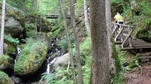  Blick auf die Wanderstrecke in der Ysperklamm 