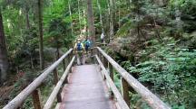  Blick auf die Wanderstrecke in der Ysperklamm 
