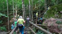  Blick auf die Wanderstrecke in der Ysperklamm 