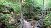  Blick auf die Wanderstrecke in der Ysperklamm 