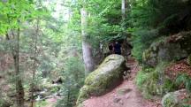  Blick auf die Wanderstrecke in der Ysperklamm 