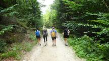  Blick auf die Wanderstrecke 