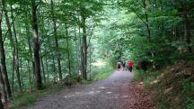  Blick auf die Wanderstrecke 