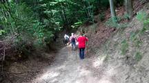  Blick auf die Wanderstrecke 