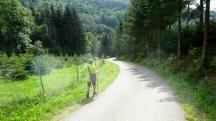 Wanderroute auf der Klammstrae 
