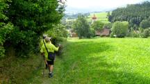  Blick auf die Wanderstrecke nach Pisching