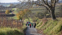 ein Blick zurck auf die Wanderstrecke durch die Riede Kittmannsberg 