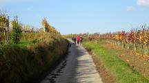  Blick auf die Wanderstrecke auf der Hochstrassel 