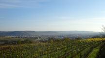 schner Fernblick nach Langenlois und zu den Auslufern des Manhartsberges