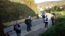 Blick auf die Wanderstrecke in der Kellergasse Presslgraben 