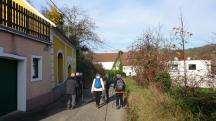  Blick auf die Wanderstrecke Kellergasse Presslgraben 