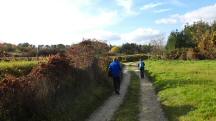 Blick auf die Wanderstrecke 