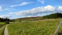  Blick auf die Wanderstrecke beim Golfplatz Lengenfeld 
