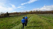  Wanderroute zum  Auberg 