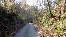  Wanderroute auf der Auberggasse 