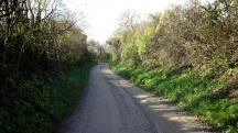  Wanderroute auf der Blauensteinerstrae 