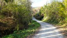  Wanderroute auf den Brndlweg 