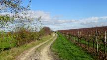  Wanderroute entlang des Golfplatzes 