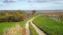  Wanderroute entlang des Golfplatzes 