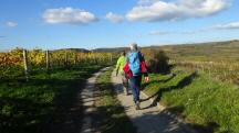  Blick auf die Wanderstrecke 