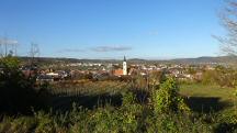  sehr schner Fernblick nach Langenlois 