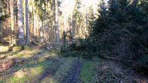  Wanderweg mit Hindernissen 