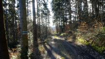  Blick auf die Wanderstrecke 