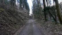  Wanderweg mit Hindernissen 