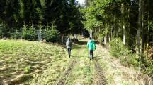  Blick auf die Wanderstrecke 