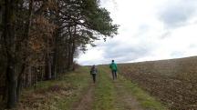 Blick auf die Wanderstrecke am Weinberg 