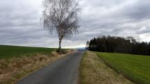  Blick auf die Wanderstrecke bei der Anhhe 