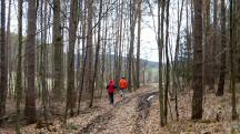  Blick auf die Wanderstrecke 