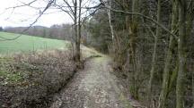  Blick auf die Wanderstrecke 