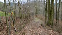  Blick auf die Wanderstrecke 