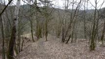  Blick auf die Wanderstrecke 