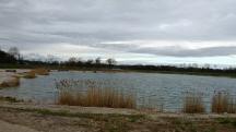  Blick zu einen See (ehem. Schottergrube) 