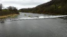  Blick auf die Ybbs flussabwrts 