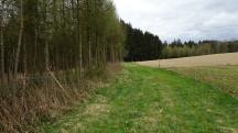  Blick auf die Wanderstrecke 