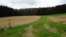  Blick auf die Wanderstrecke 