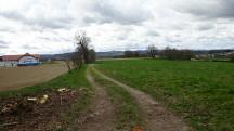 Blick auf die Wanderstrecke beim Landhaus Scheidreith 