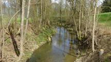  Blick auf den Ferschnitzbach 
