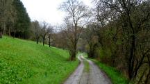  Wanderroute zum Bengelbach 