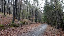  Blick auf die Wanderstrecke 