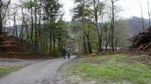  Blick auf die Wanderstrecke 