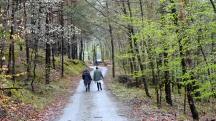  Blick auf die Wanderstrecke 