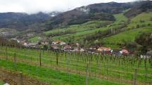  Fernblick nach Elsarn am Jauerling 